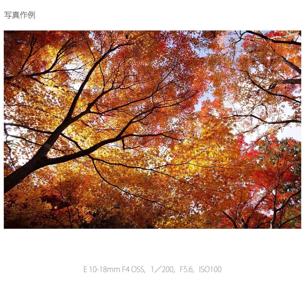 Sony Zoom Lens E F4 OSS for Sony E Mount Exclusive SEL1018 Wide-angle 10-18mm APS-C