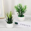 Зеленые реалистичные растения в горшках Алоэ Трава Искусственная трава Подарочные горшки Искусственные растения Бонсай