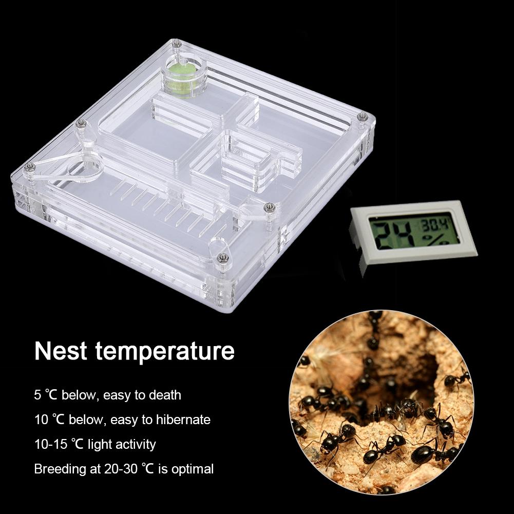 Acrylic Transparent Ant Breeding House Nest Formicarium Display Box Ornamental