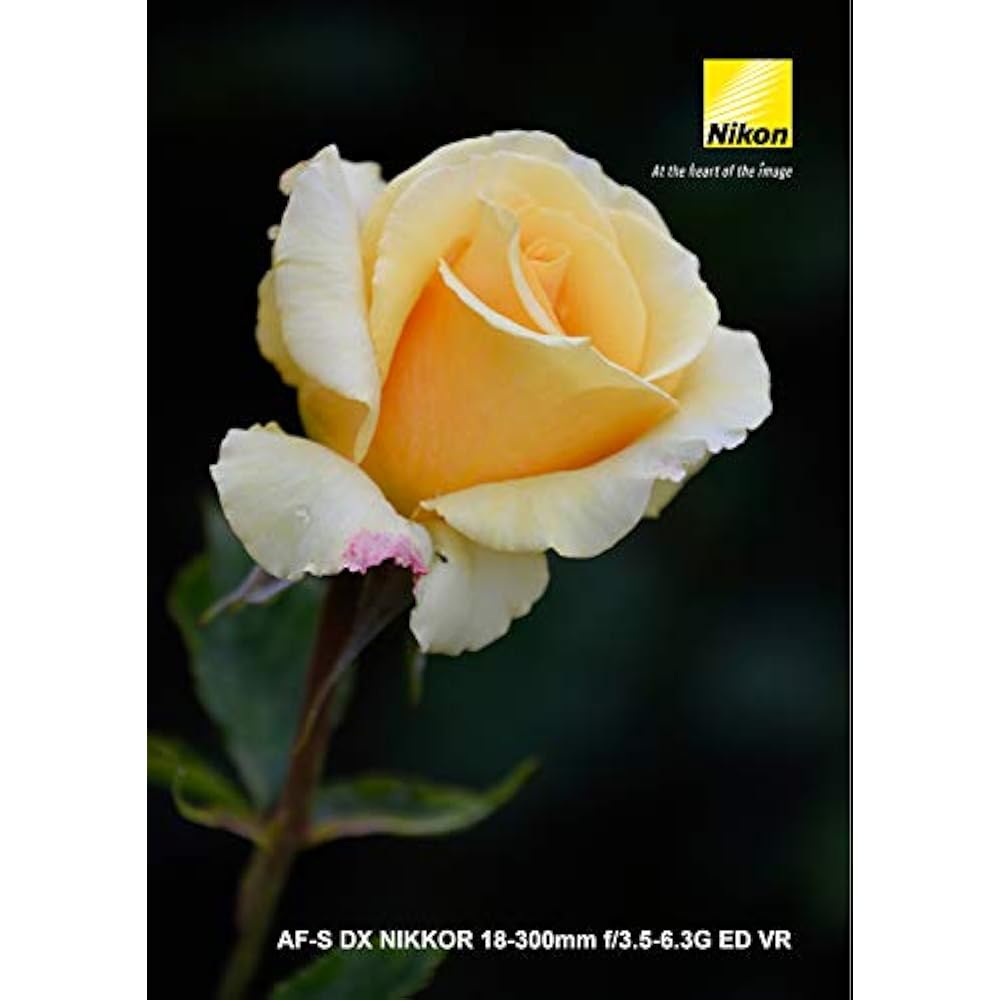 Nikon High Magnification Zoom Lens AF-S DX NIKKOR 18-300mm f/3.5-6.3G ED VR for Nikon DX Format
