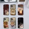 Забавные мемы с домашними кошками Чехол для телефона Для iPhone 16,15,14,13,12,11,Pro,X,XS,Max,XR,Plus,Mini Мягкий черный чехол