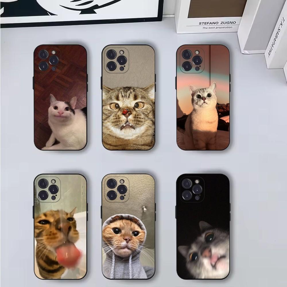 Забавные мемы с домашними кошками Чехол для телефона Для iPhone 16,15,14,13,12,11,Pro,X,XS,Max,XR,Plus,Mini Мягкий черный чехол