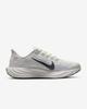 FQ7261-006 Кроссовки Nike Pegasus Plus для шоссейного бега Платиновый оттенок (Женщины)
