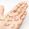 21Pcs (Size#10) Fly Fishing Flies Wet Flies Bait for Flishing Trout/carp Fishing Artificial Lure Accessories with Flies Box