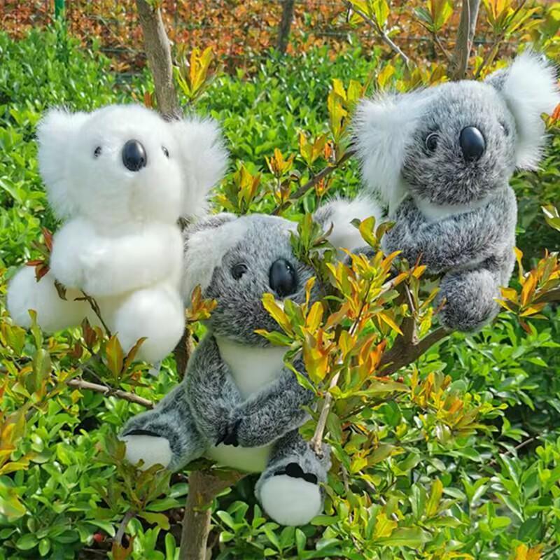 Плюшевая игрушка Коала из Австралии - Мягкая тканевая кукла в подарок девочке на день рождения