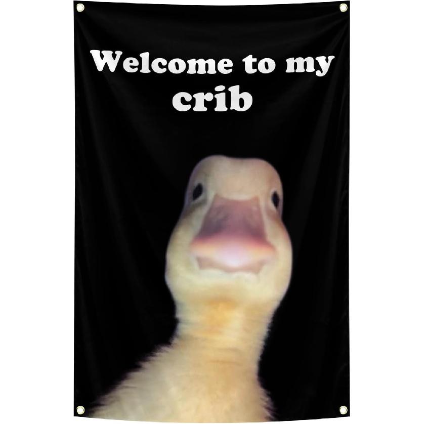 Welcome To My Crib Flag 2x3 Feet Tapestry With 4 Brass Grommets. Funny Flag for Teen Girls Room Indoor Outdoor Bedroom and College Dorm Wall Decor