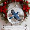 Nature's Birds Crystal Glass Ornament Clear Plastic Bird Christmas Ball Ornament Xmas Tree Memorial Gifts for Holiday Indoor Home Decor
