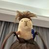 Hairstyle Fixing Tool Capybara Hair Band Headdress Hair Headband Taking Photos Wash Face Headwear Ornament Washing Face