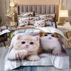 Cute Kitten Bed Cover Full Set For Girls, Single Bedding Set, Microfiber Quilt Cover With Pillowcases, Cute Little Kitten, 135x2