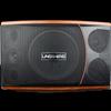 LINGSHENG Professional KTV Wall-Mounted Audio Speaker CN plug (adapter included)