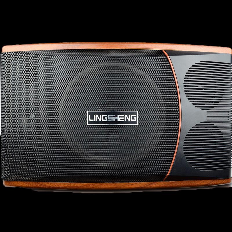 LINGSHENG Профессиональная настенная акустическая система для KTV