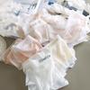 Women's Panties Sexy Women's Ice Silk Seamless Panties Quick Drying Solid Color Underwear Comfortable Female Briefs Cool Lingeri