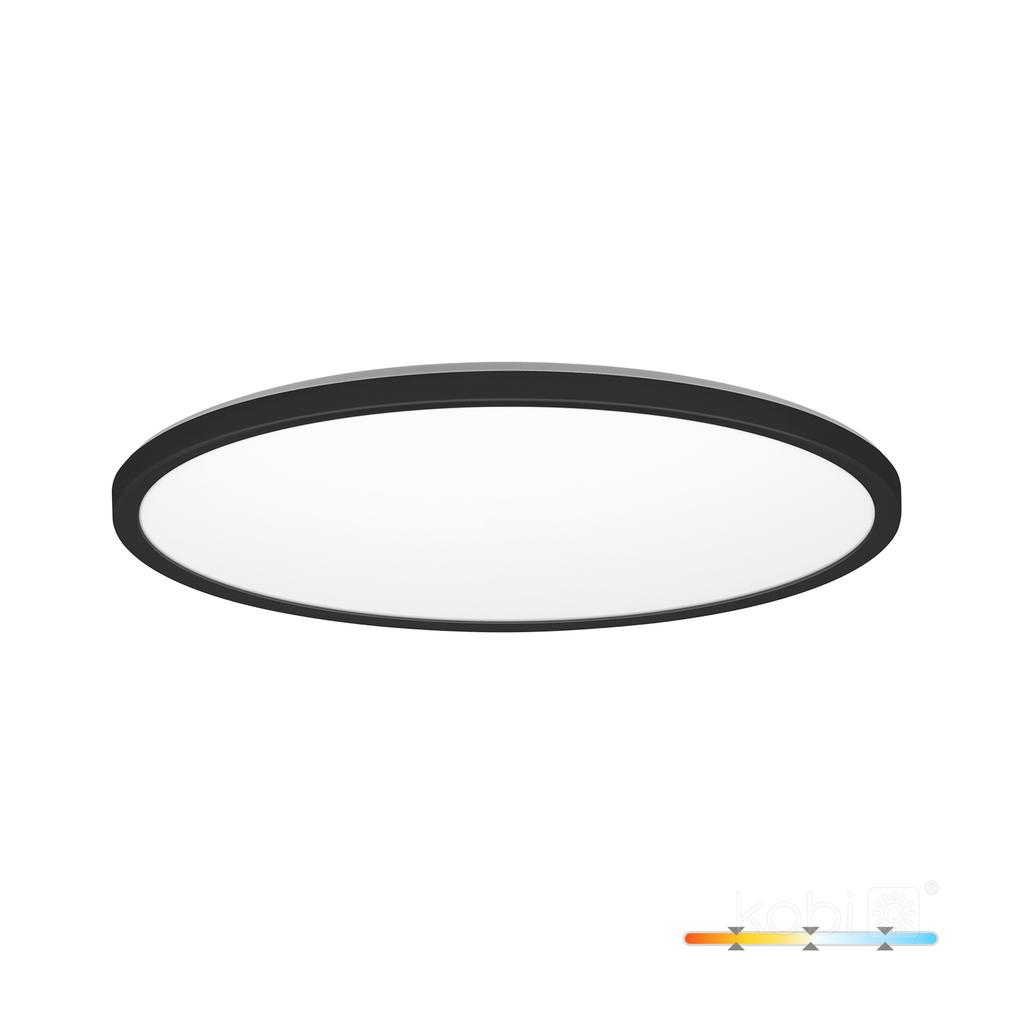 LED ceiling lamp 18W 3CCT IP54 black