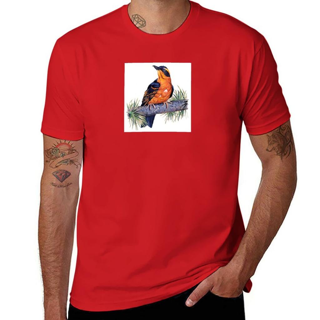 Birds In Hell TShirt Short sleeve tee aesthetic clothes mens graphic tshirts anime
