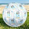 Bluey Print Size 5 Soccer Ball, PU Wear Resistant Football for Match Training and Daily Practice, Birthday Gift for Soccer Fans