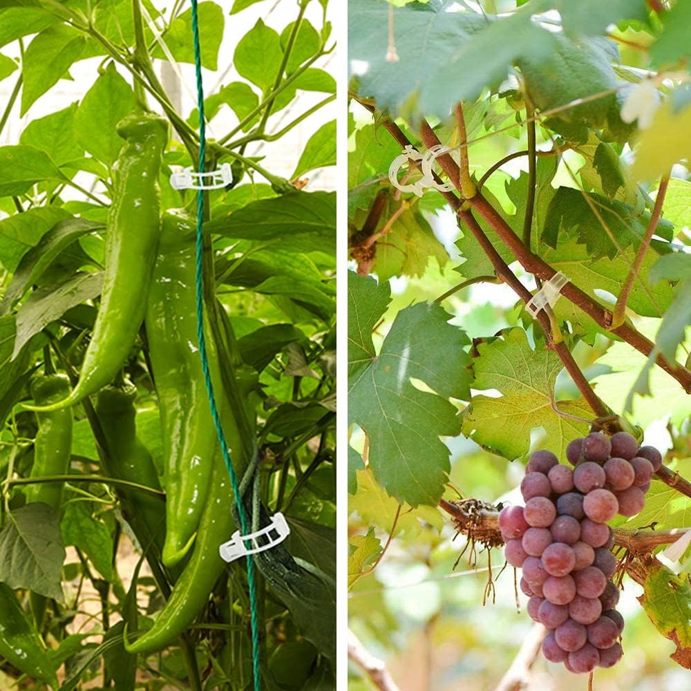 Многоразовые клипсы для поддержки растений Пластиковые соединители Фиксация лозы Виноград Помидор Стебель Клипса Прививка Овощные растения Садовые инструменты для сада