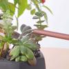 Rustproof Leakproof Long Spout Watering Can Stainless Steel Watering Pot Watering Can  Indoor