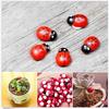 10X Mini Ladybug Beatles Garden Ornaments Scenery Craft For Plant Pot Fairy Decor