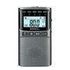 WINTECH Portable Digital Radio with Disaster Prevention Function Gunmetal AM/FM EMR-700