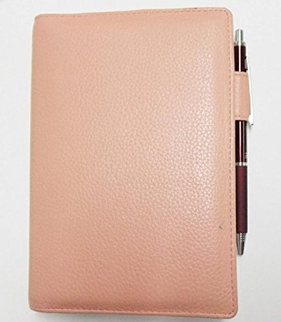 Шариковая ручка Zebra Fortia 300 10 масляных ручек, серебристая, ручки, B-BA80-S