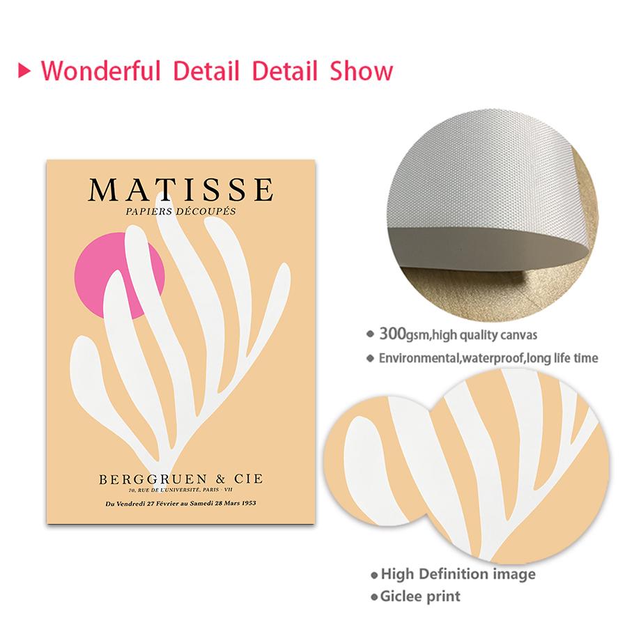 Abstract Henri Matisse Flower Tiger Coral Eye Geometry Vintage Posters Canvas Painting Wall Art Print Picture Living Room Decor