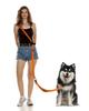 Dog Orange Waist Belt Car Seat Belt Reflective Tape Perfect for Walking and Jogging Medium and Large Dogs Hands-free Leash, Multi-functional