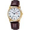 Men's A206-107 ( Watch Q&Q Day-Date) Watch