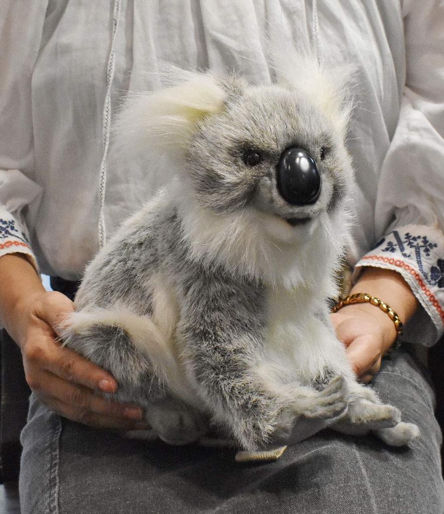 BH3637 HANSA Koala 26