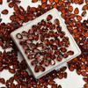 Natural Orange Sapphire Loose Gemstone Fire Pear Cut 7x5 mm 15 pcs Lot September Birthday Birthstone