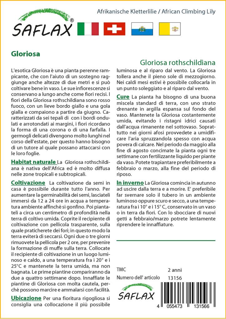 SAFLAX Лилия африканская вьющаяся - 15 семян - Gloriosa rothschildiana