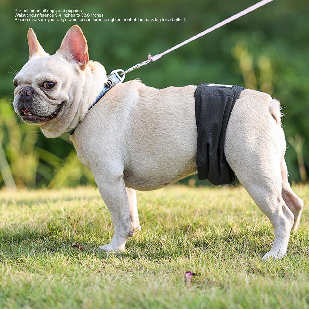 Graphene Fabric Pet Sanitary Shorts High Absorb Layer Leakproof Pet Wrap Urine Containment