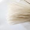Longjiang Baoshan Tangyuan Potato Vermicelli (5 x 320g)