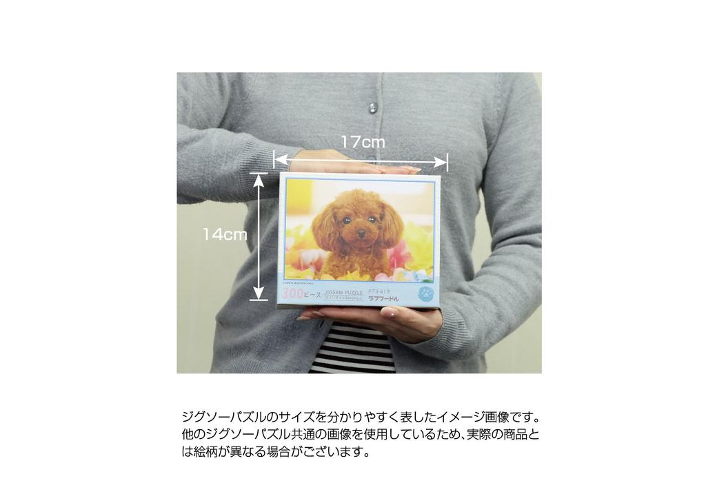 300 Piece Jigsaw Puzzle PRETTY PET Flower Garden Date (26x38cm)