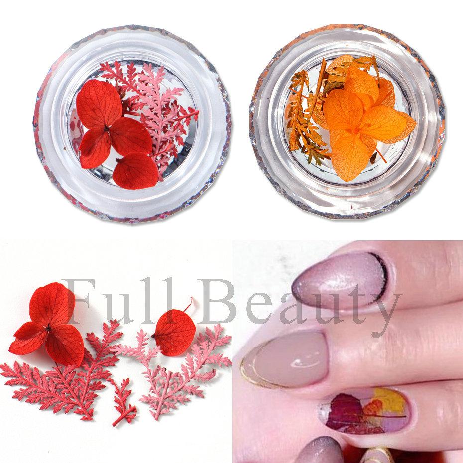 1 коробка для ногтей, сушеные цветы, маленькие ромашки, натуральные цветочные наклейки, смешанные сухие цветы, сделай сам, наклейки для дизайна ногтей, УФ-гель-лак для маникюра