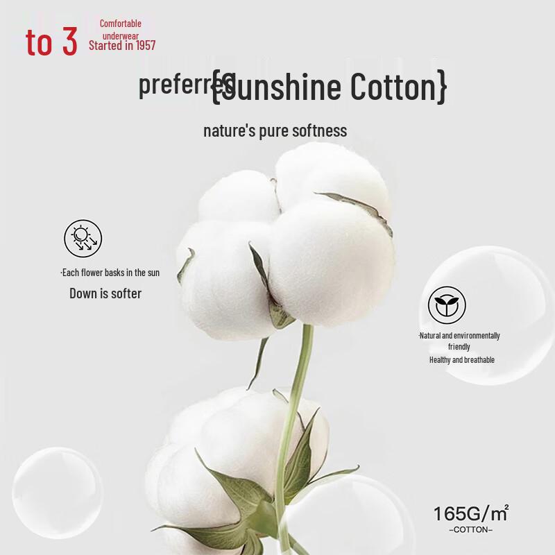 Hodo Women's Cotton Blend High-Waist 7A Antibacterial Briefs Multi-pack