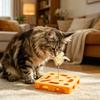 Interactive Puzzle Toy for Cats Puzzle Box with Jingle Balls Spring Feather Wand Cat Enrichment Toy for Indoor Cats Mental Stimulation And