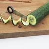 Professional Handheld Spirals Vegetable Slicers Stainless Steels Manual Rotating Cutter For Carrots Cucumbers Potato