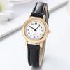 Small Dial Ladies Watches Elegant Women's Quartz Wristwatchs Fashion Styles Best Gifts Clock For Wife,friend,family