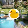 1 шт./2 шт. солнечные утки для бассейна, плавающие солнечные светильники для бассейна, водонепроницаемые светящиеся утки для ночной вечеринки у бассейна, декор для водных объектов