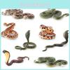 Пластиковые Реплики Змей Модель Игрушка Для Офисного Декора И Поклонников Рептилий