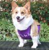 Водонепроницаемый нагрудник для питомца корги с карманом на животе, защищающий от грязи, милый нагрудник для питомца, защита живота, одежда для питомца корги