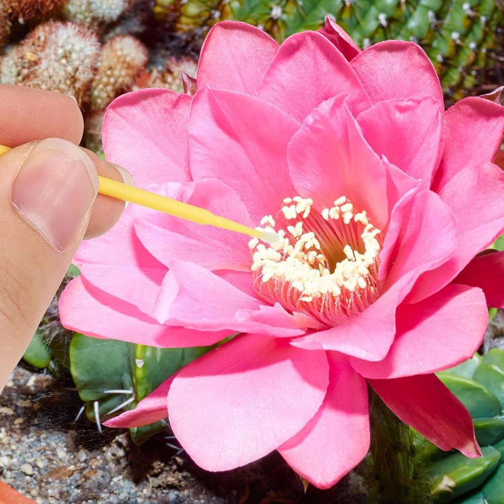 100pcs Portable Pollinator Tools Plant Pollinator Pen Outdoor Pollinator Gardening Pollinator Flower Pollinator Garden Accessories