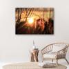 Canvas Print Grass Sunset Nature
