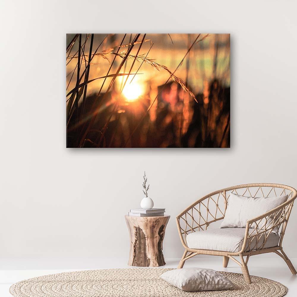 Canvas Print Grass Sunset Nature