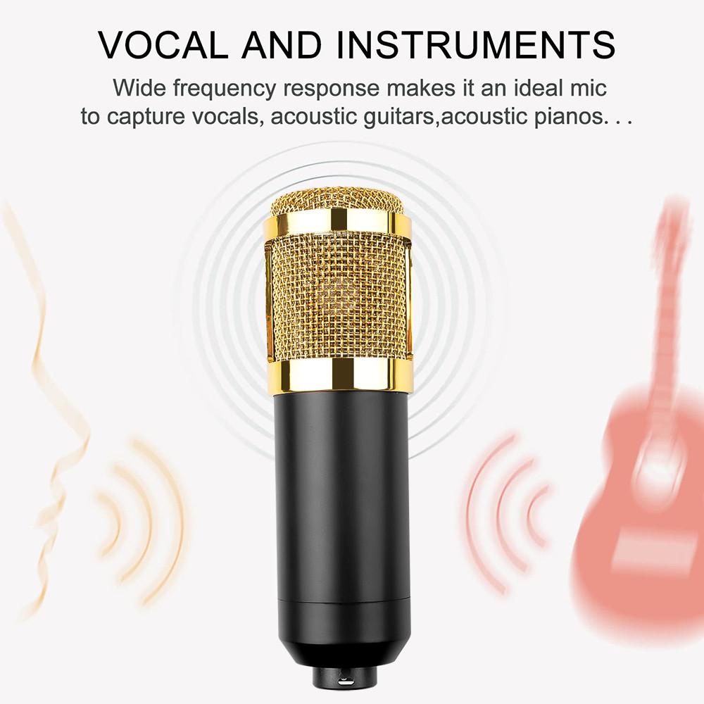Конденсаторные микрофоны Подвесные микрофоны Студийные Для KTV Караоке Радиовещание Пение Запись Компьютерный Прямой Микрофон