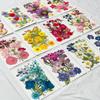 Dried Pressed Flowers For Resin Crafts, Flower Natural Dried Fillers, Assorted Real Natural Bulk Dry Floral Leaves For Scrapbook