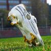 Football Shoes 28-39 Children's Football Boots Children's M Ic Stickers Strap Plastic Nail Football Shoes