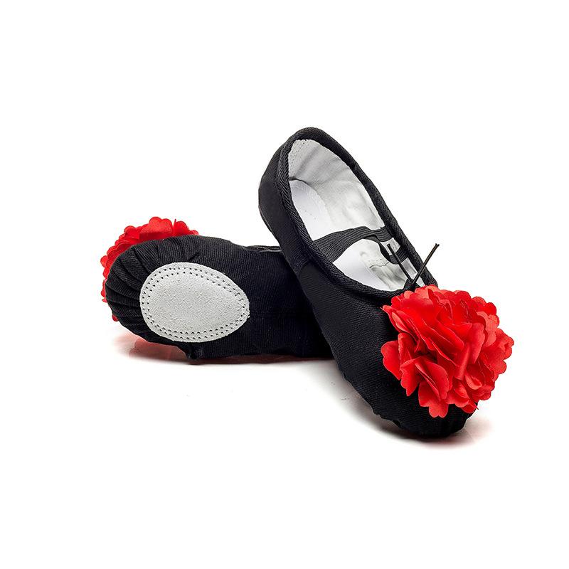 Adult Children's Dance Shoes Men's and Women's Ballet Soft Sole Practice Shoes Form Class Yoga Shoes Flower Cat Claw Dancing Shoes