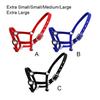 Padded Halter Pony Bridle Head Collar Adjustable Zinc Alloy Protective Gear Handily Wear Horse Supplies Solidness