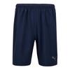Puma Шорты боковой линии Teamliga